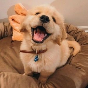 Meet your Posher, Viviana